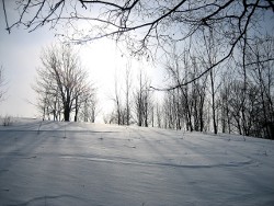 December in Wisconsin December in Wisconsin