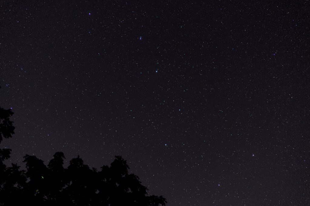 The starry night sky showing the Big Dipper above the tree tops.